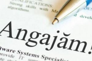 Se cauta guvernantă! Vezi cerinţele...