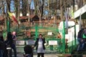 Sute de vizitatori la grădina zoologică din Reşiţa în primul weekend de primăvară autentică