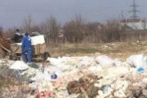 Doi braileni au fost surprinsi in timp ce aruncau saci cu gunoi dintr-o caruta