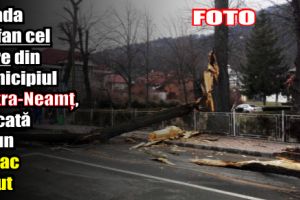 Strada Ștefan cel Mare din municipiul Piatra-Neamţ, blocată de un copac căzut