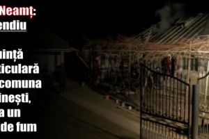 ISU Neamţ: Incendiu la o locuinţă particulară din comuna Săvineşti, de la un coş de fum