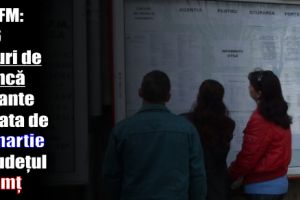 AJOFM: 536 locuri de muncă vacante la data de 12 martie 2018 în judeţul Neamţ