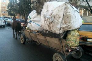 300 de lei de caruta, la Timisoara. Politistii locali se uita din nou dupa carutasi