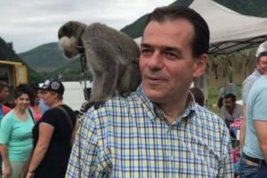 HALUCINANT! Ludovic Orban, ORDIN pentru primarii PNL: 