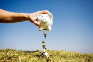 900 lei – Subvenţia Apia pe care o primiţi dacă deţineţi un singur animal în fermă!