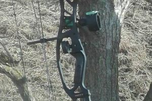 Pasionat de tir cu arcul sanctionat de jandarmi la Cernavoda. Unde a fost surprins arcasul in timp ce exersa