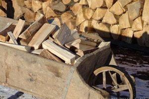 Ulciorul s-a spart: Un hoţ a fost prins în timp ce fura lemne pentru a doua oară din magazia unui pensionar din Ştei