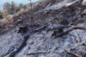 Weekend incendiar în Caraş-Severin! Zeci de hectare de teren au fost cuprinse de flăcări!