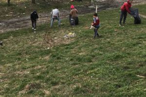 EXEMPLU. Primeşti ajutor social doar dacă munceşti! O primărie din Satu Mare i-a pus la treabă pe asistaţi