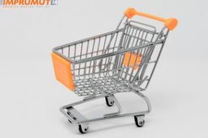 Cum economiseşti bani la cumpărături (P)