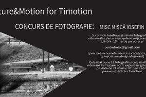 Picture & Motion for Timotion. Concurs de fotografie: Misc Misca Iosefin