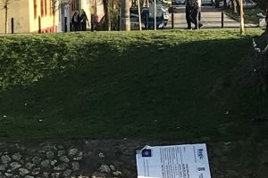 Imaginea neputintei si a nepasarii din Timisoara anului 2018