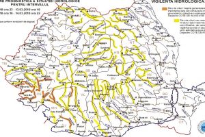 Cod galben în bazinul hidrografic al râului Trotuş