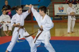 Rezultate notabile pentru karateka de la Ronin şi Budo Kurai Samurai la zonalul de calificare  (FOTO)