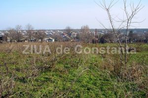 Patronul magazinului de mobila Ruana se apuca de construit in Lumina (document)