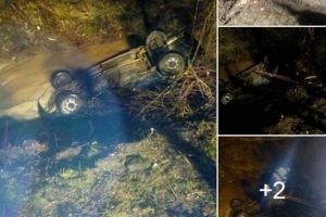 BREAKING NEWS/ Maşină căzută în râu, la Moneasa! Ocupanţii acesteia NU AU FOST GĂSIȚI (FOTO)