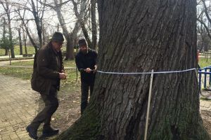 Calitatea spaţiilor verzi din Arad, în atenţia specialiştilor din Ungaria