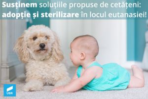 Vlad Botoş (USR): Măsurile implementate de administraţia locală privind animalele fără stăpân sunt inacceptabile
