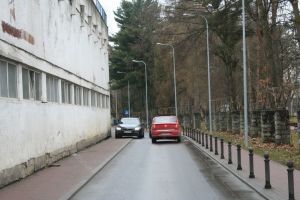 Ce a devenit „plâmânul verde” al Bistriţei. Şoferii nu ţin cont de restricţii, proprietarii de câini îşi bat joc (FOTO)