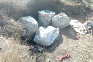 Actiuni de ecologizare la Constanta. Ce au gasit politistii locali in doua zone din municipiul Constanta (galerie foto)