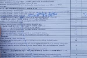 Nu, nu e glumă! O tânără a picat examenul auto pentru că nu a acordat prioritate unui porumbel
