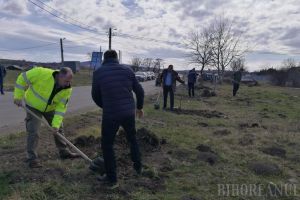 De ziua lor, comisarii de mediu au ţinut lecţii despre poluare şi au plantat copaci (FOTO)