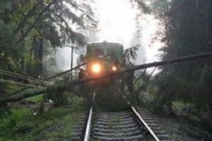 Copaci căzuţi pe un tren: Traficul feroviar e BLOCAT între Predeal şi Braşov