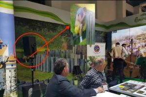 Un burtos care se simte rău – imaginea României la Târgul de Turism de la Berlin