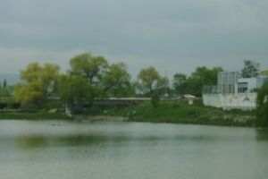 Se aşteaptă idei de reabilitare a lacului din cartierul Gării