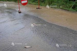 Pârâul Cormoş a depăşit cota de pericol în zona Baraolt; cotele râului Olt, în creştere