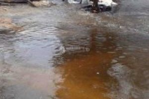 Mai multe terenuri agricole şi gospodării, inundate în zona Baraoltului şi Întorsurii Buzăului