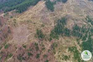 Parcurile naţionale, inclusiv Munţii Rodnei, noi controverse. Ce spune şeful Direcţiei Silvice Bistriţa