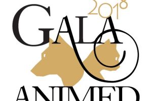 Susţine activitatea asociaţiei caritabile a iubitorilor de animale la GALA ANIMED 2018. Cum poţi participa