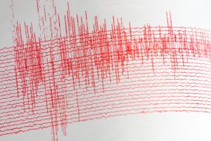 Cutremur de 4,7 în zona seismică Vrancea