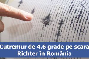 Cutremur de 4.6 grade pe scara Richter în România