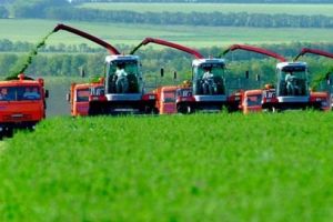 Fostul grânar al Europei în atenţia şeicilor arabi