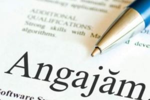 Consiliere gratuită pentru sătmărenii ce vor să lucreze în străinătate