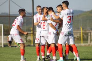 SITUAȚIE – FC Hermannstadt pierde 12 milioane lei dacă câştigă Cupa României