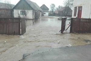 Pagube în Harghita: case şi curţi inundate