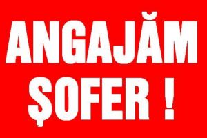 Vending Zone angajează ŞOFER/GESTIONAR