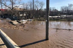 24 de localităţi din judeţ sunt afectate de inundaţii/ DJ503 rămâne înschis circulaţiei; apa a intrat în 20 de case şi peste 300 de curţi