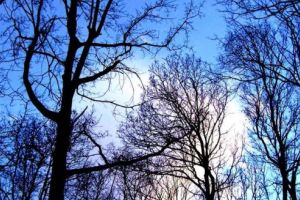 Sâmbătă, temperaturi de până la 20 de grade. De duminică, vremea se schimbă radical