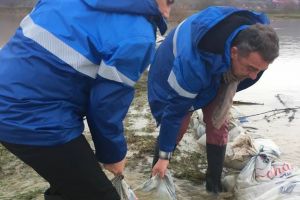 Ministrul Ioan Deneş şi-a început ziua cărând saci cu nisip (FOTO)