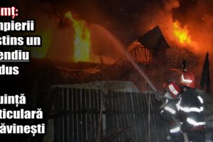 Neamţ: Pompierii au stins un incendiu produs la o locuinţă particulară în localitatea Săvineşti