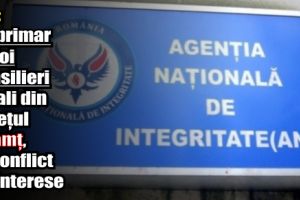 ANI: Un primar şi doi consilieri locali din judeţul Neamţ, în conflict de interese
