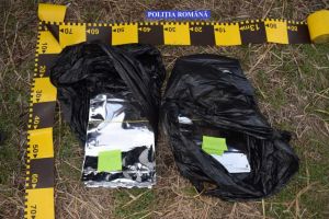 Ialomiţa: Aproape 70 de kg. de tutun vrac, descoperite de poliţişti