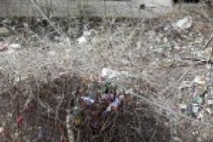 GALERIE FOTO: Gunoiul din campania electorala a ramas neridicat