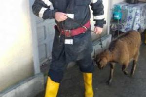 Flăcări, accidente, inundaţii, nămeţi – pompierii rezistă