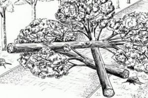 Cum vrea NATO să STOPEZE tancurile inamice în caz de invazie. Metoda este incredibilă