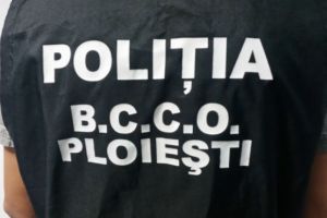 Actiune a ofitelor BCCO Ploiesti/ Un bucurestean de 62 de ani, cercetat pentru pornografie infantila